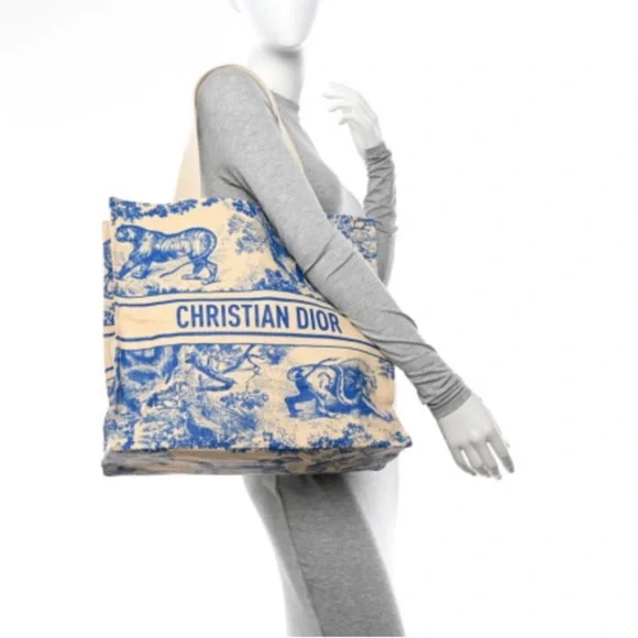Christian Dior STRAW Graphic Tote Bag NEW - Picture 10 of 16